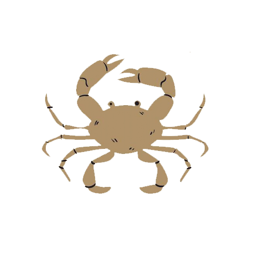 Illustration af krebsen
